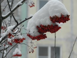 Владимир Лагажан