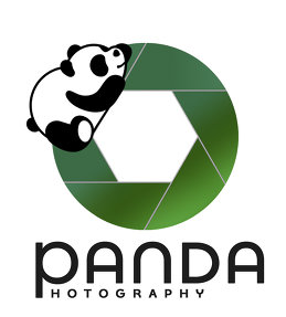 Panda Studia