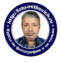 Андрей Миткевич