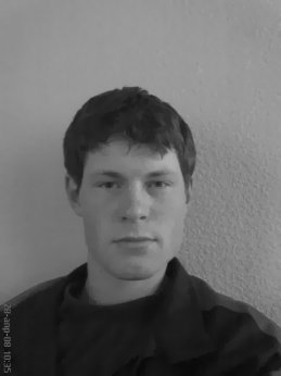 Дмитрий Станиславович
