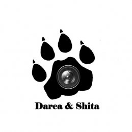 Darea&Shita Творческий альянс