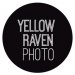 Yellow Raven Photo