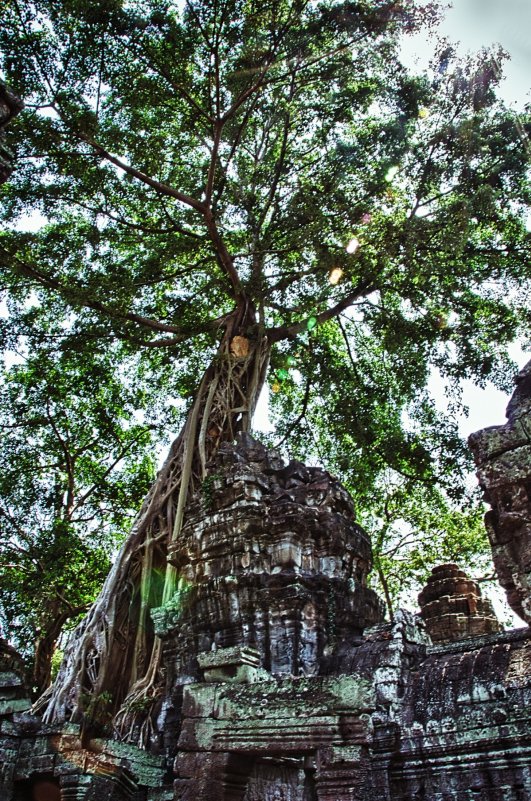 Magic of Angkor, или По следам Лары Крофт - Юля Тарасенко