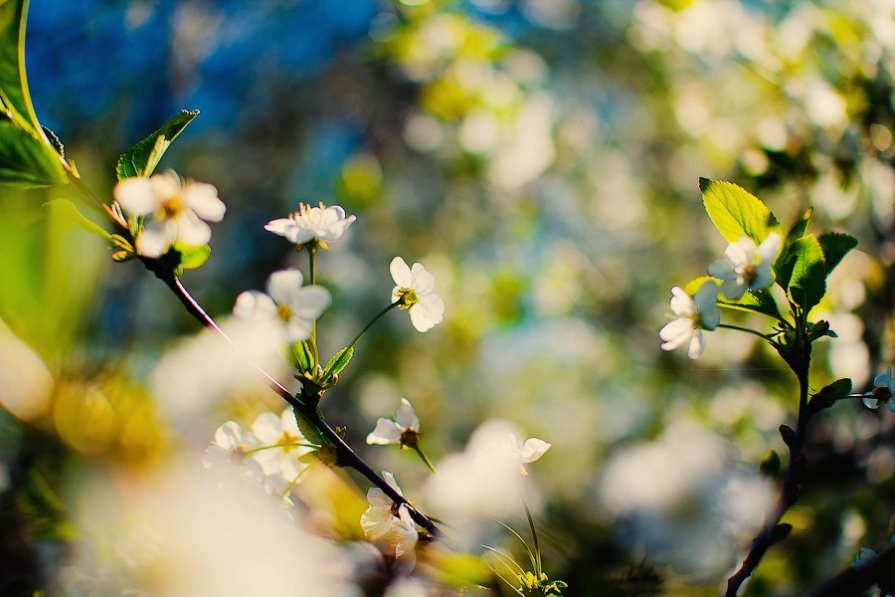 spring spirit - Ивета Урлина