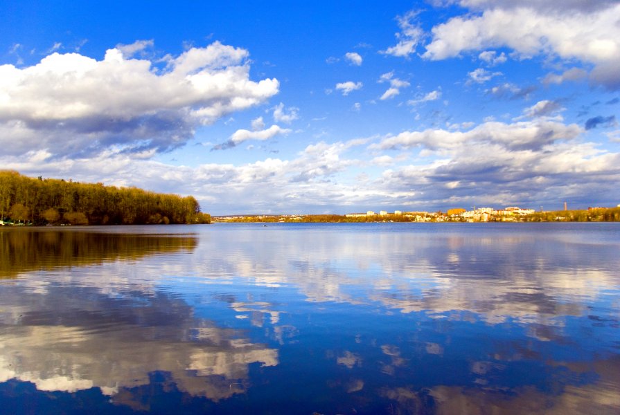 ... - Лілія Войцеховська