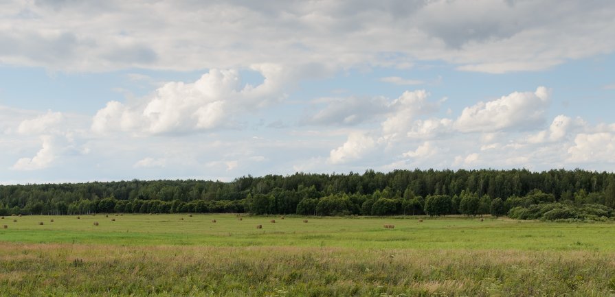 Было. - Andrei Dolzhenko