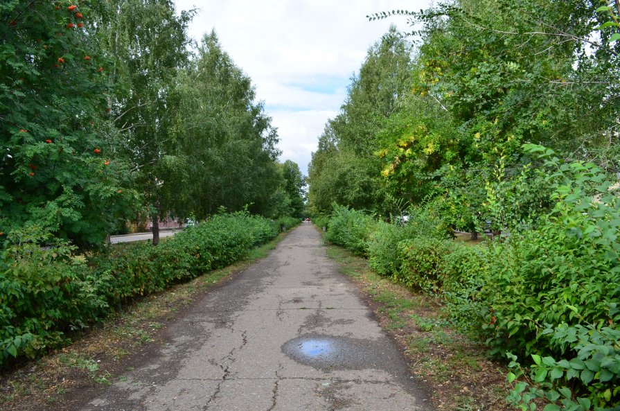 Осень в городе. - Ольга Тимофеева