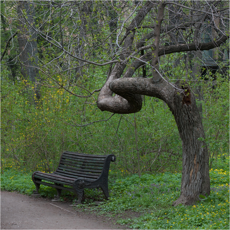 в парке старом - Сергей Мигунов