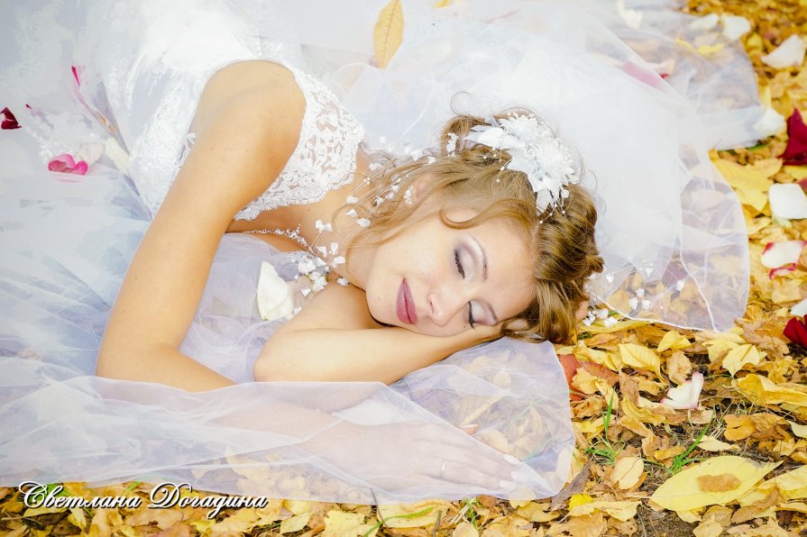 Сон невесты - Дмитрий Догадин