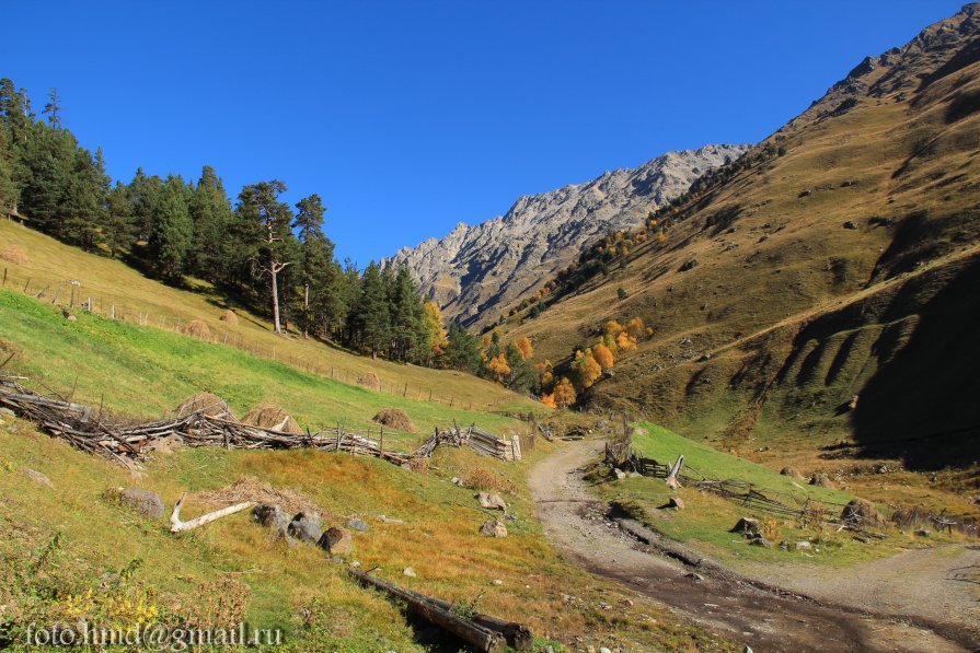 осень в горах - Мариям Хаджиева