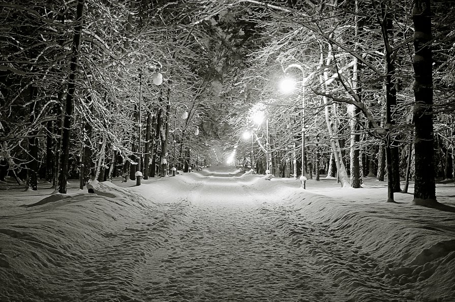 Зимний парк - Артур Белоножко