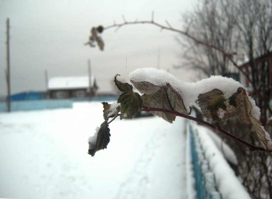 Забыли о лете - Анна Серобабова