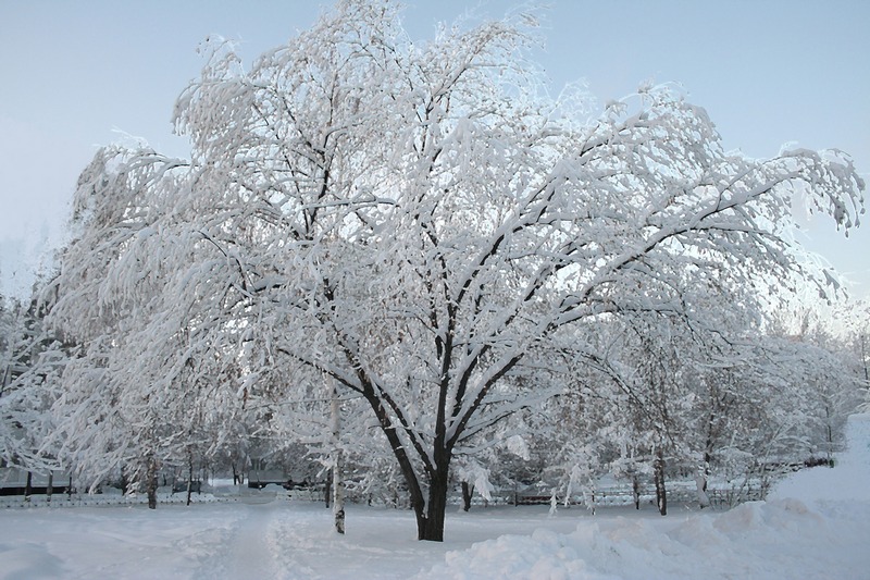 Зима в городе - Damir Si