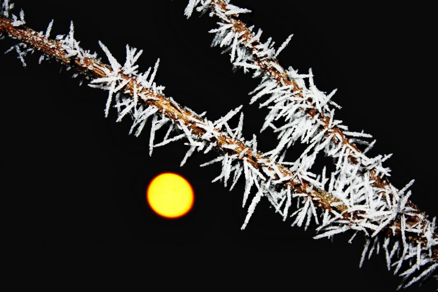 Winter - Анастасия Кобзарь