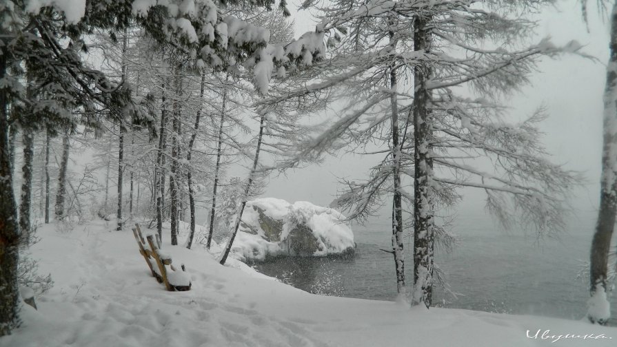 У белых берегов Байкала... - Любовь Лапардина