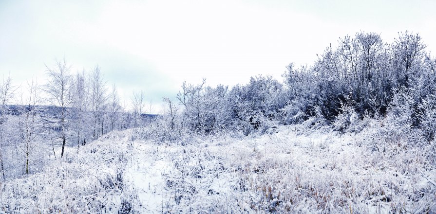 Winter came - Дмитрий Доронин