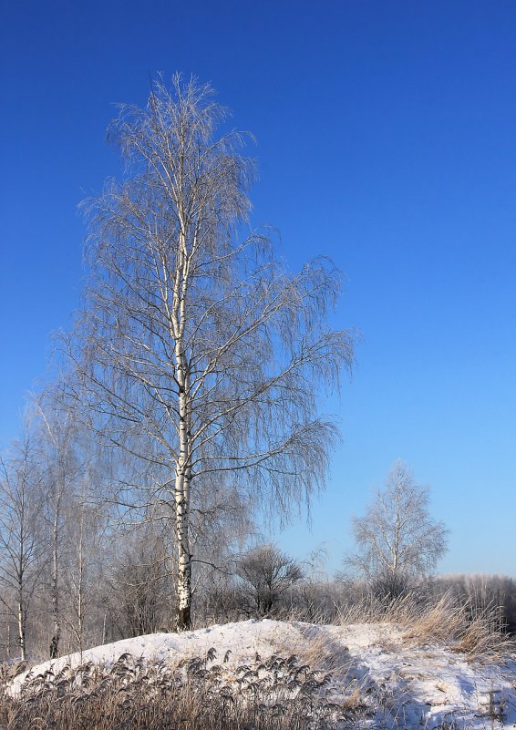 Один день в декабре - Kimiko (= Евгения)