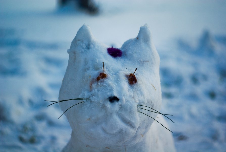 Снеговой котик - Владимир Старосотников