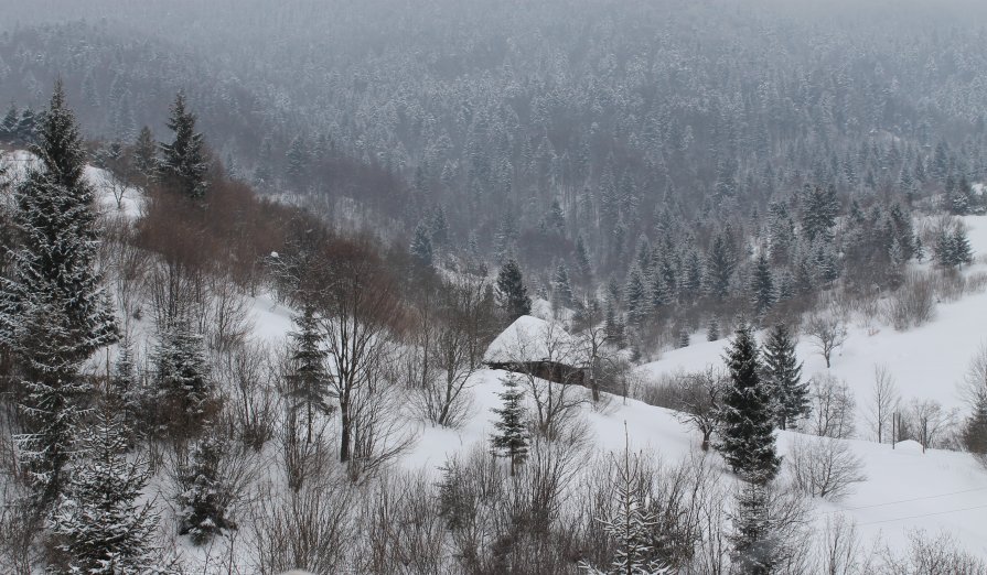 Карпатское село - Николай Смужаница