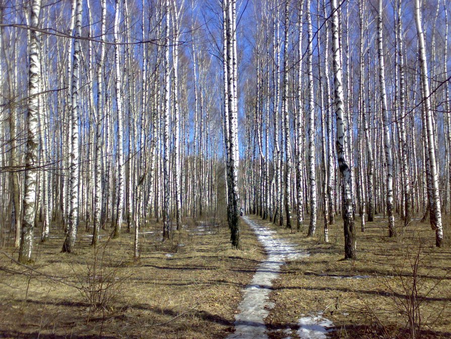 Холодная тропа - Антон Царьков