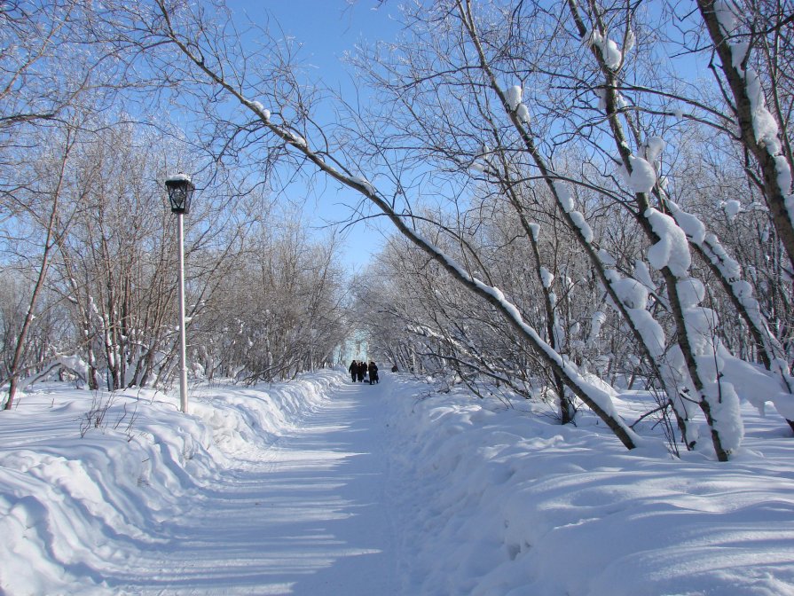 в городском парке - Андрей Аликин