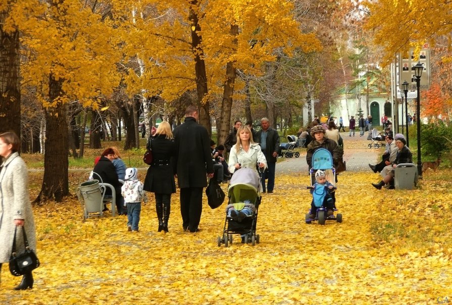 В осеннем парке - Александр Садовский