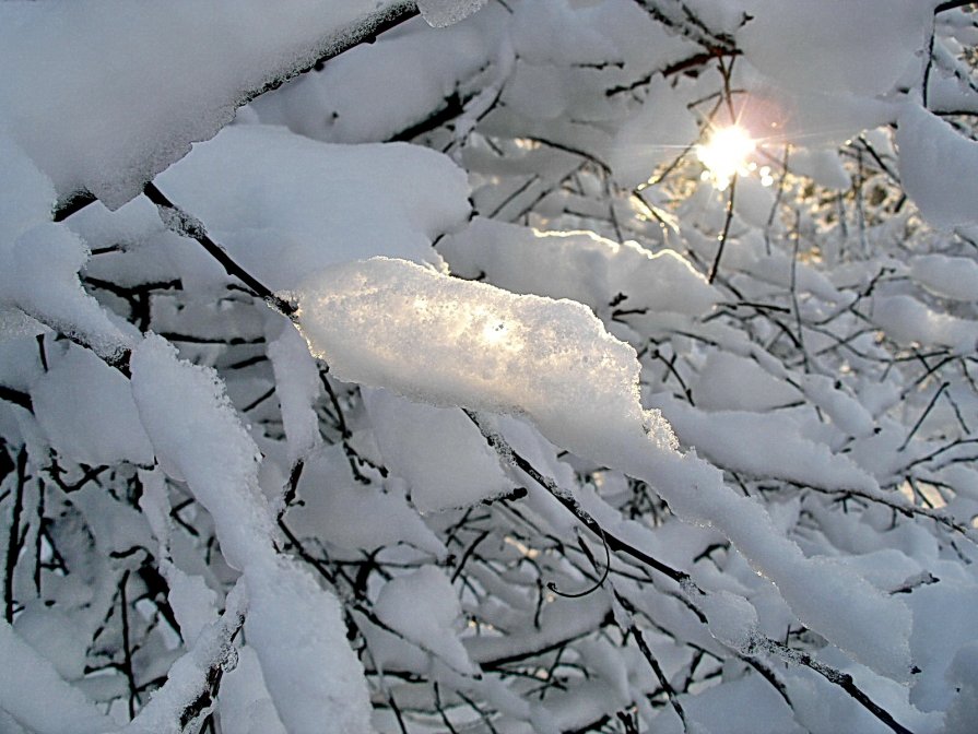 Луч света в снежном царстве - Лариса Горбатова