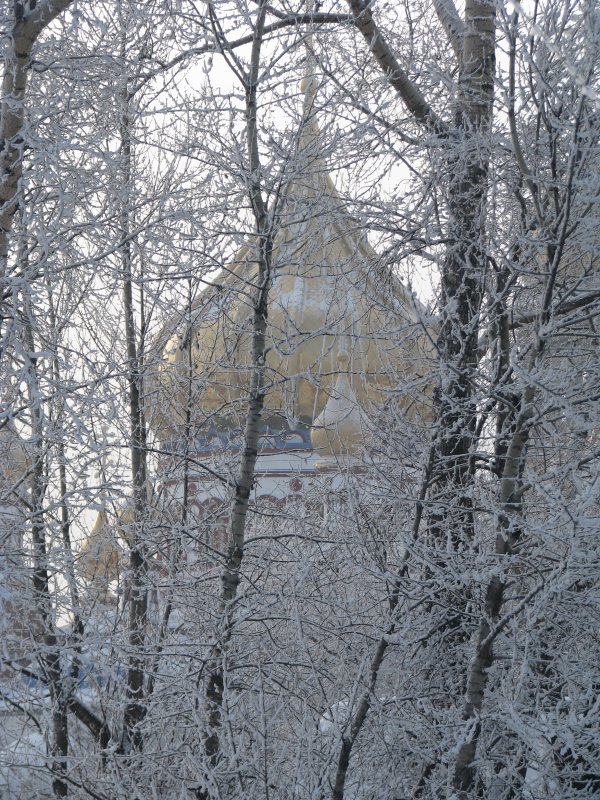 Храм в серебре - Светлана Ковалева