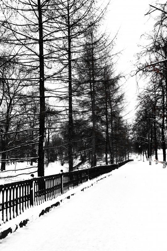 зимняя прогулка - Антонина Коквина