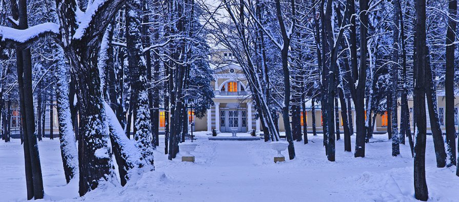 Зима в Братцево(Москва) - Константин Кокошкин