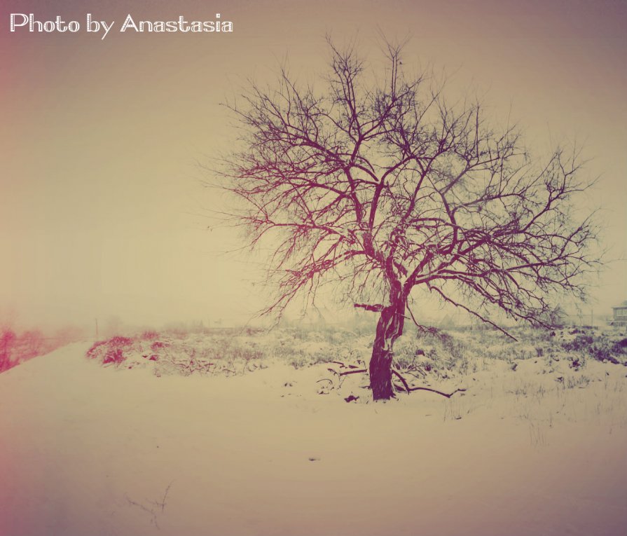 Зима на Кавказе - Анастасия Колпакова