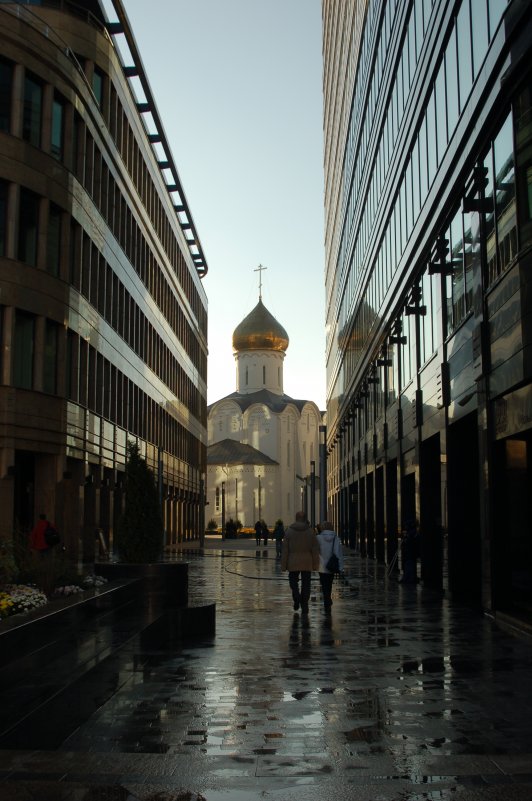 в тисках - Любовь Миргородская