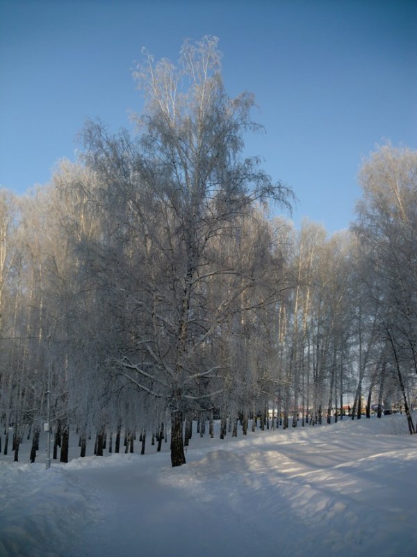 Красота рядом - Айгуль Зиннатуллина