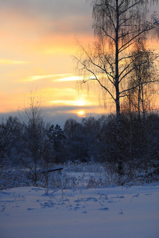 Закат солнца в зимний вечер - Наталья Баранова