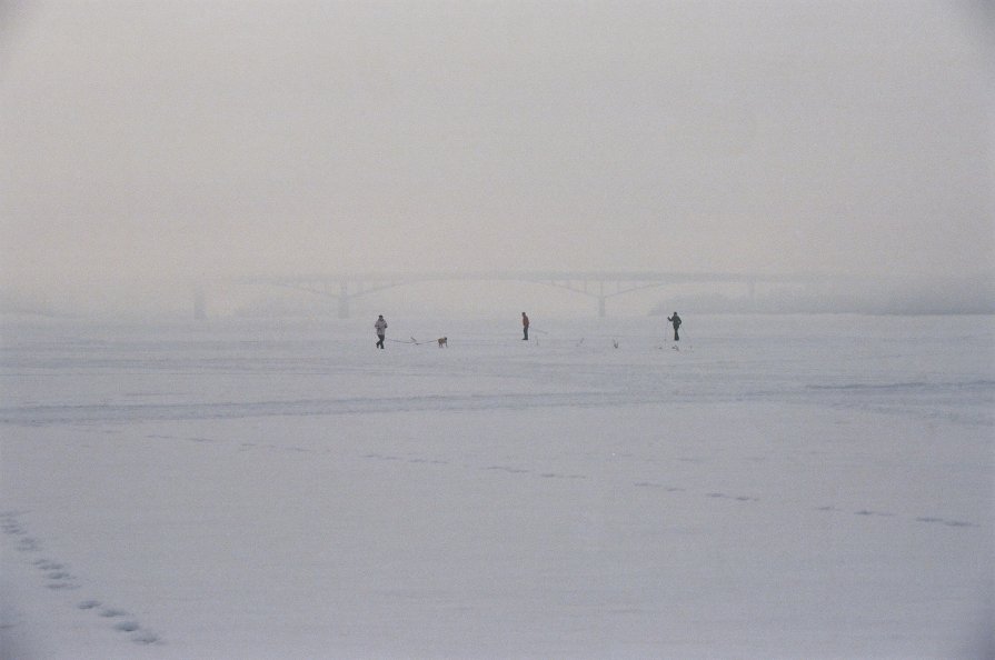 Туманным зимним утром - Ольга Савченко