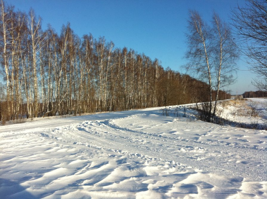 Зимняя дорога - Евгеша Живчик