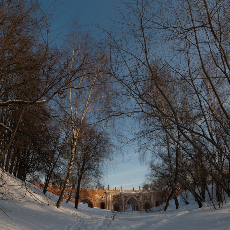 Царицыно - Роман —-