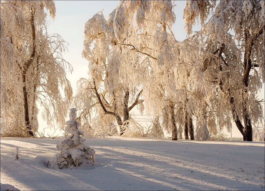 Morning light - Андрей Антонов