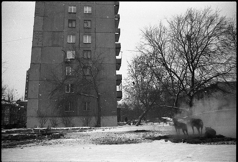 Мечты о несбыточном - Оля Горбовская