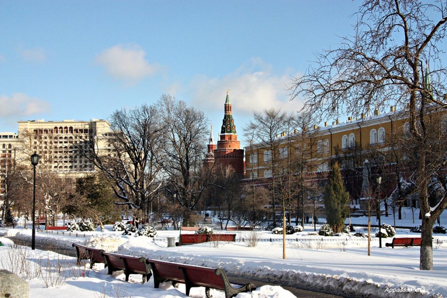 ЗимнеМосковское - Елена Юнес