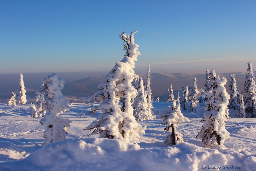 Тролли сказочного леса... - Любовь Шихова