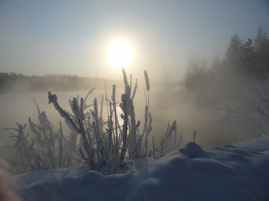 -39,9 - Лариса Смолина