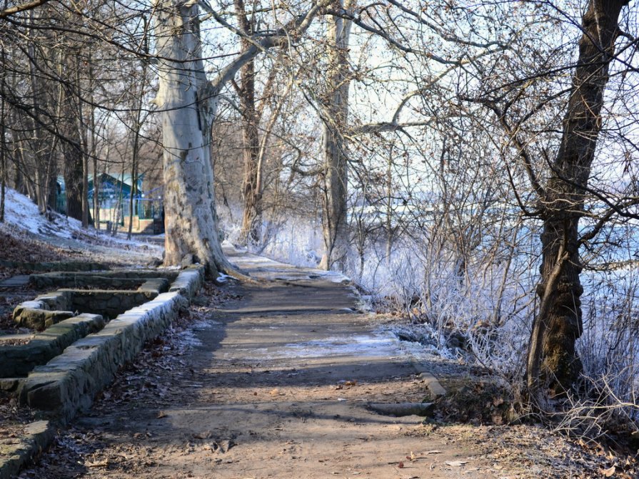 мороз. - Александр Лонский