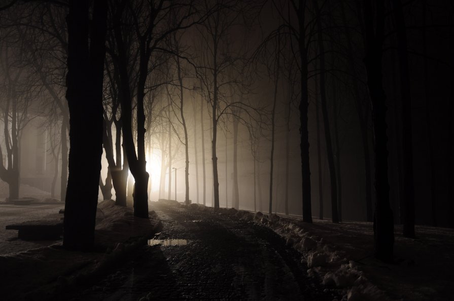 Туманная ночь - Lara Tereschuk