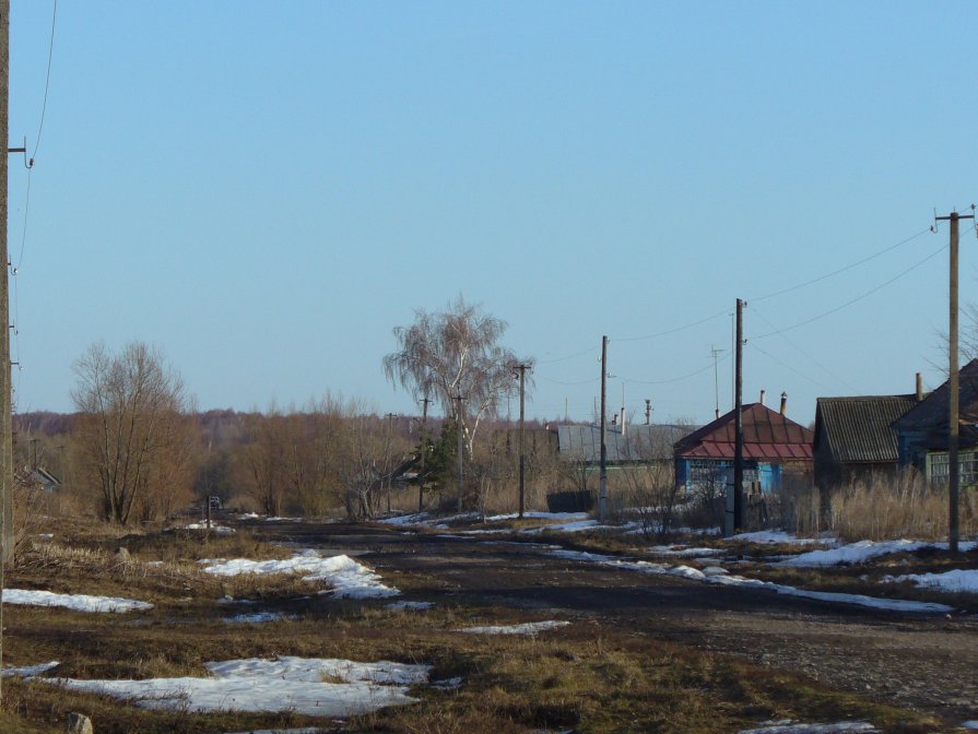 Весна в деревне - Анастасия Ляхина