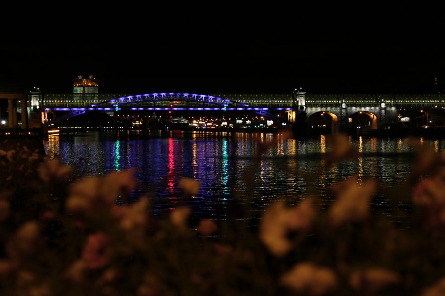 Мост Парка культуры им. Горького в Москве. Ночной вид - Людмила Немич