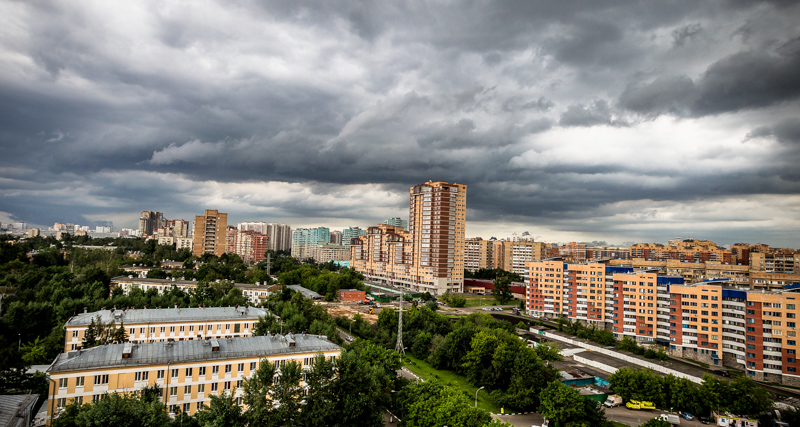 ... - Светлана Гаевская