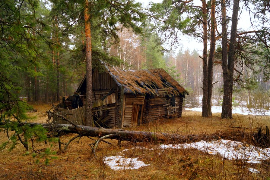 в дебрях Мещеры - Михаил Корнев