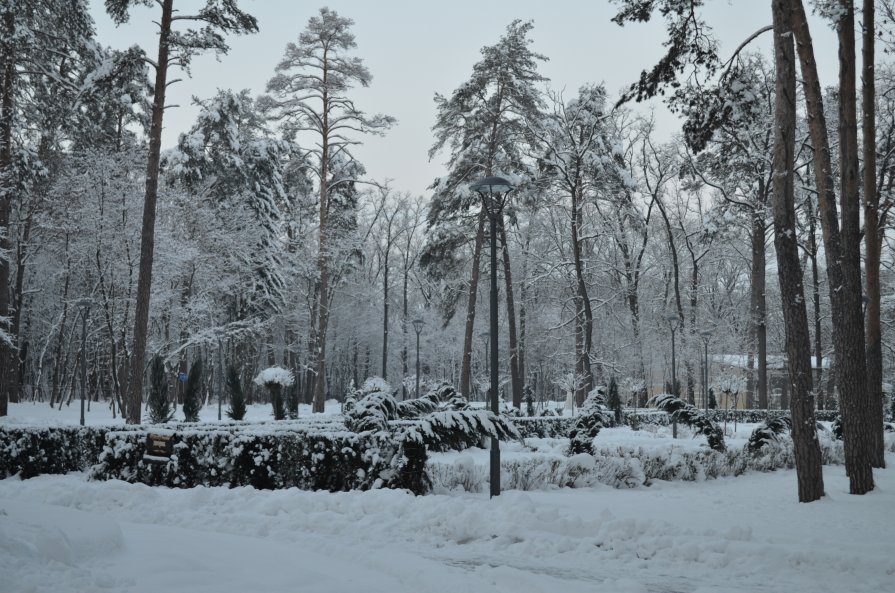 В городском парке. г. Буча - Антонина Ягущина