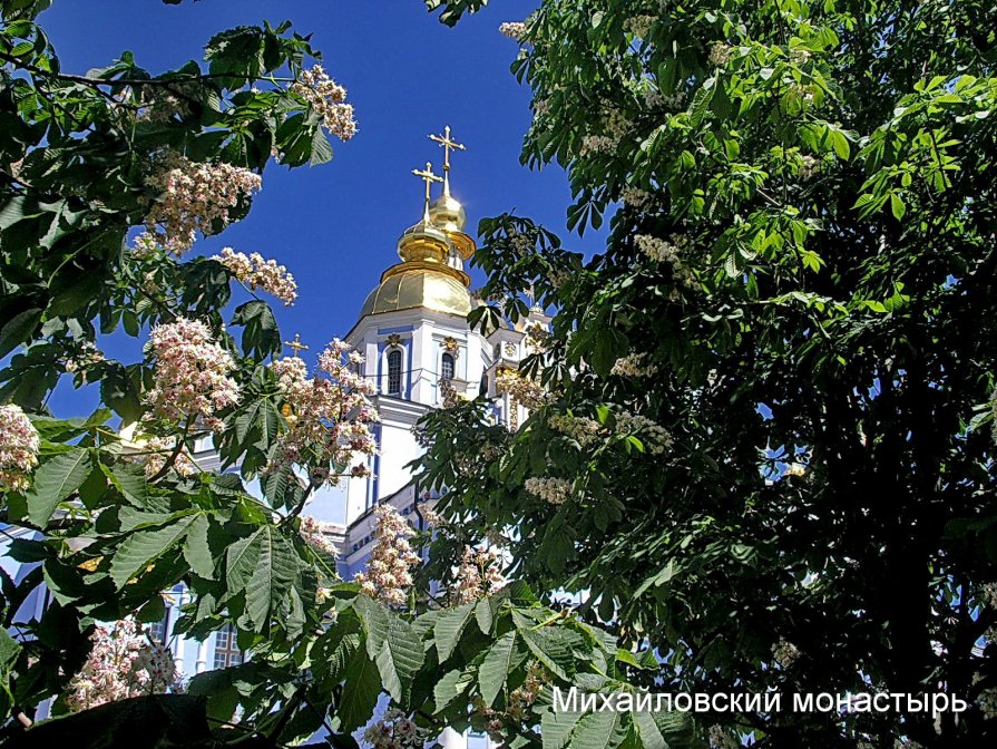 ... - Лариса Горбатова